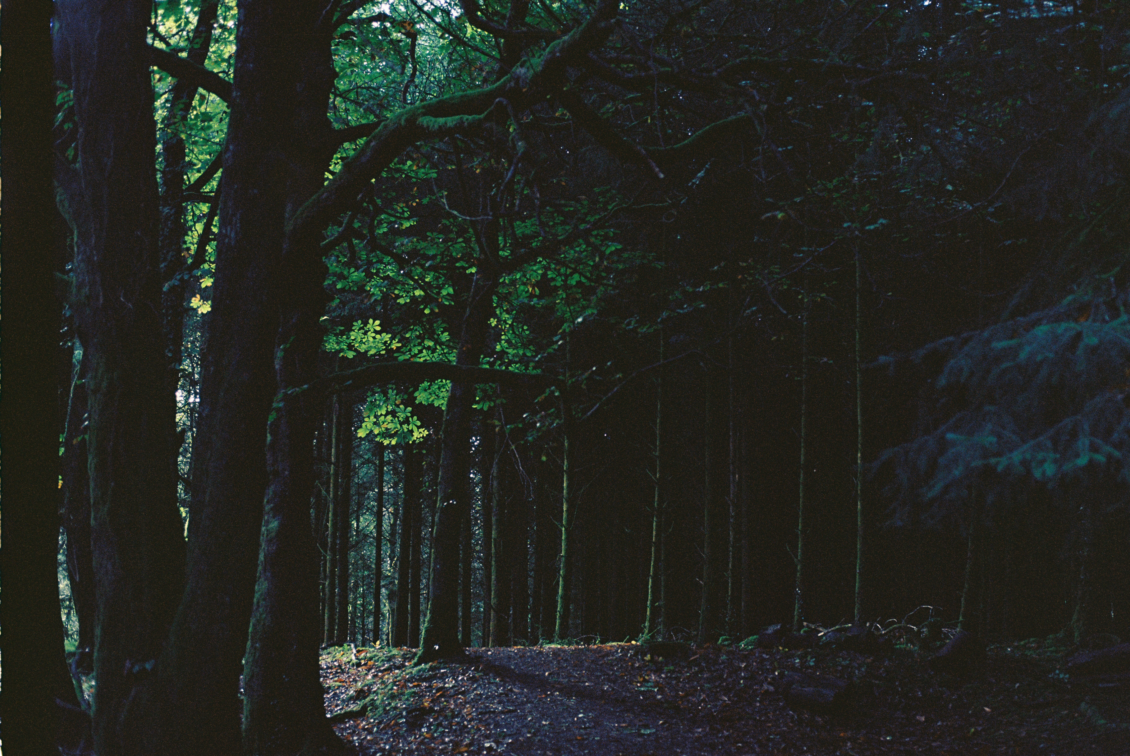 Hero Background Picture